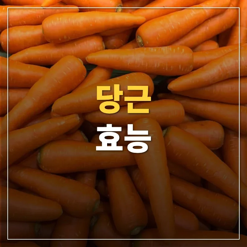 당근 효능