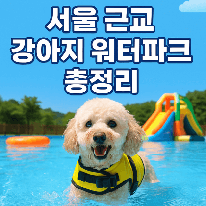 서울 근교 강아지 워터파크 총정리