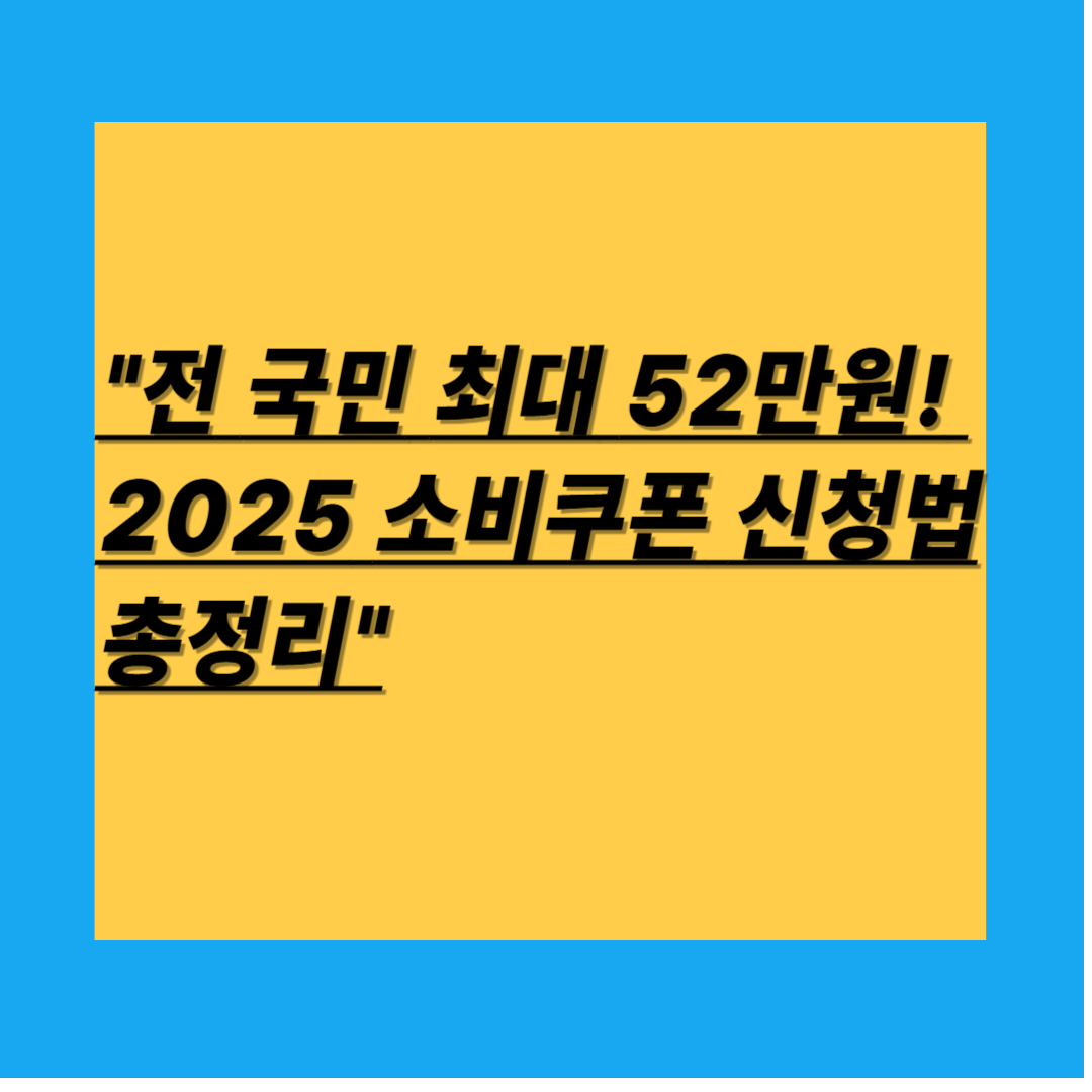 2025 소비쿠폰 민생회복 쿠폰