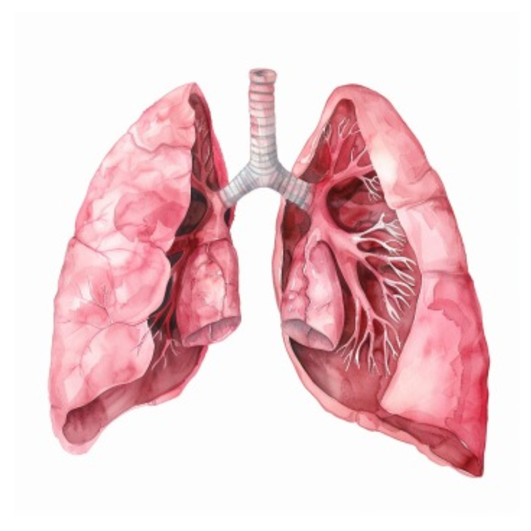 마이코플라스마 폐렴