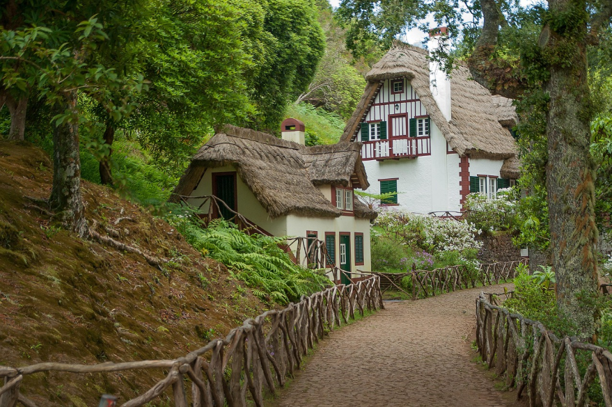 가장 조용한 디지털 노마드 성지 – 포르투갈 마데이라섬 체험기