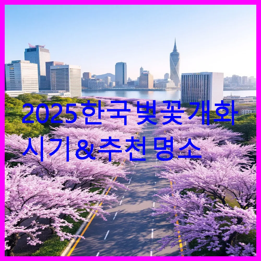2025 한국 벚꽃 개화 시기 &amp; 추천 명소