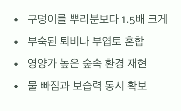 비결 2. 튼튼한 집 지어주기 (흙과 심기)