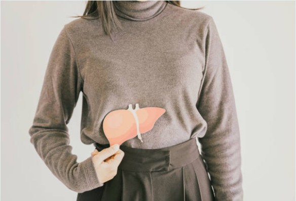 밀크씨슬 효과와 복용법