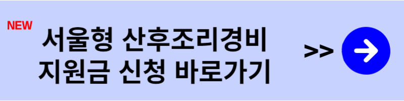 서울형 산후조리경비 지원금 신청