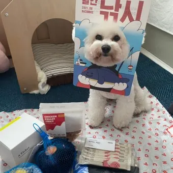 베이컨박스 바로가기 TOP 제품 추천_21