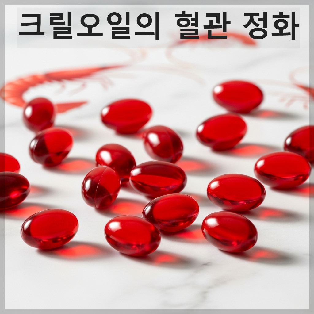 혈관 및 뇌 건강에 도움을 주는 붉은 빛깔의 크릴오일 캡슐 이미지