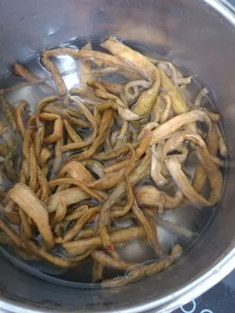 토란대줄기 수확시기토란대 말리는 방법까지 안내_13