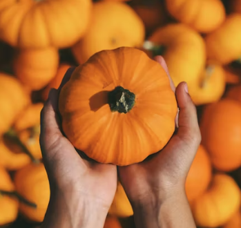 단호박 효능 부작용 영양성분 고르는법 칼로리