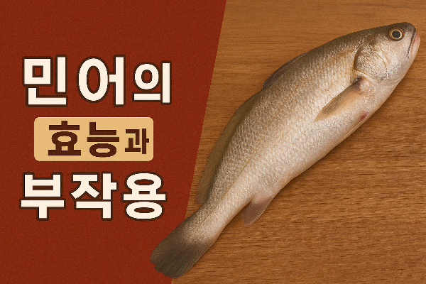 민어의 효능과 부작용