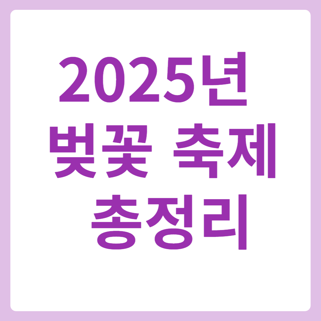 벚꽃축제 총정리