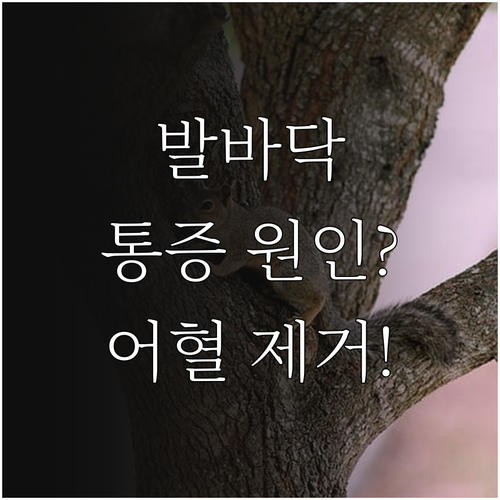 교통사고 후유증 발바닥 통증 어혈 제..