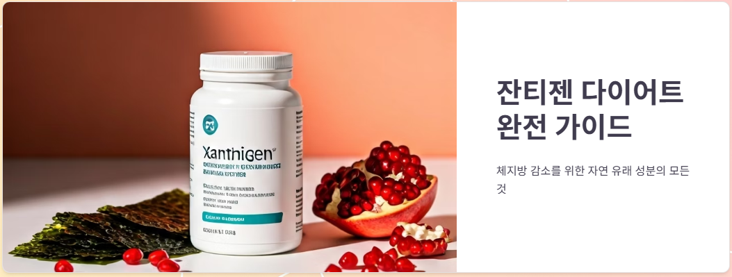 잔티젠 다이어트 효과, 부작용, 체지방 관리팁!