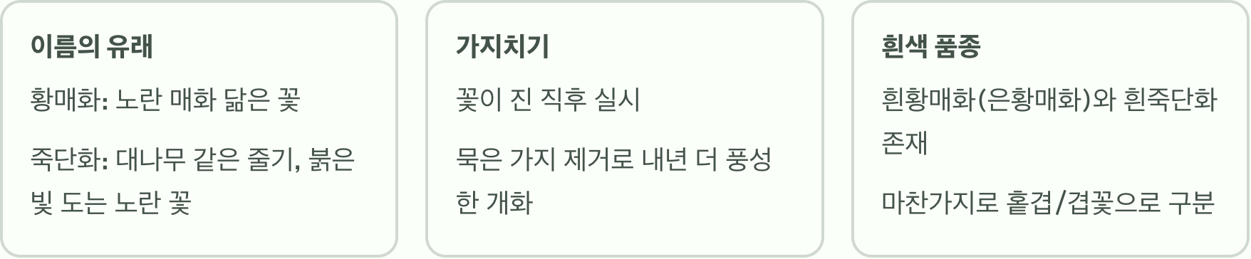 황매화 vs 죽단화, 이제 그만 헷갈리세요! (완벽 비교)