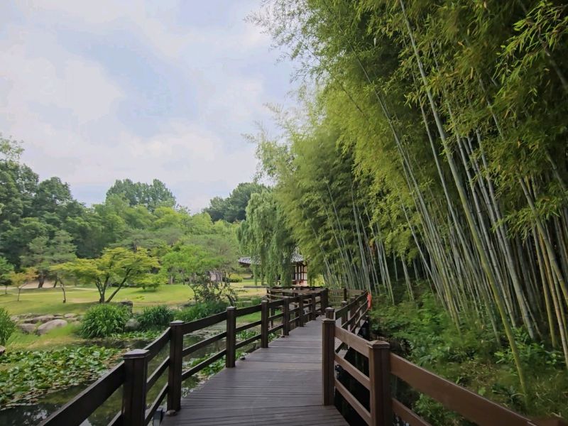 죽녹원