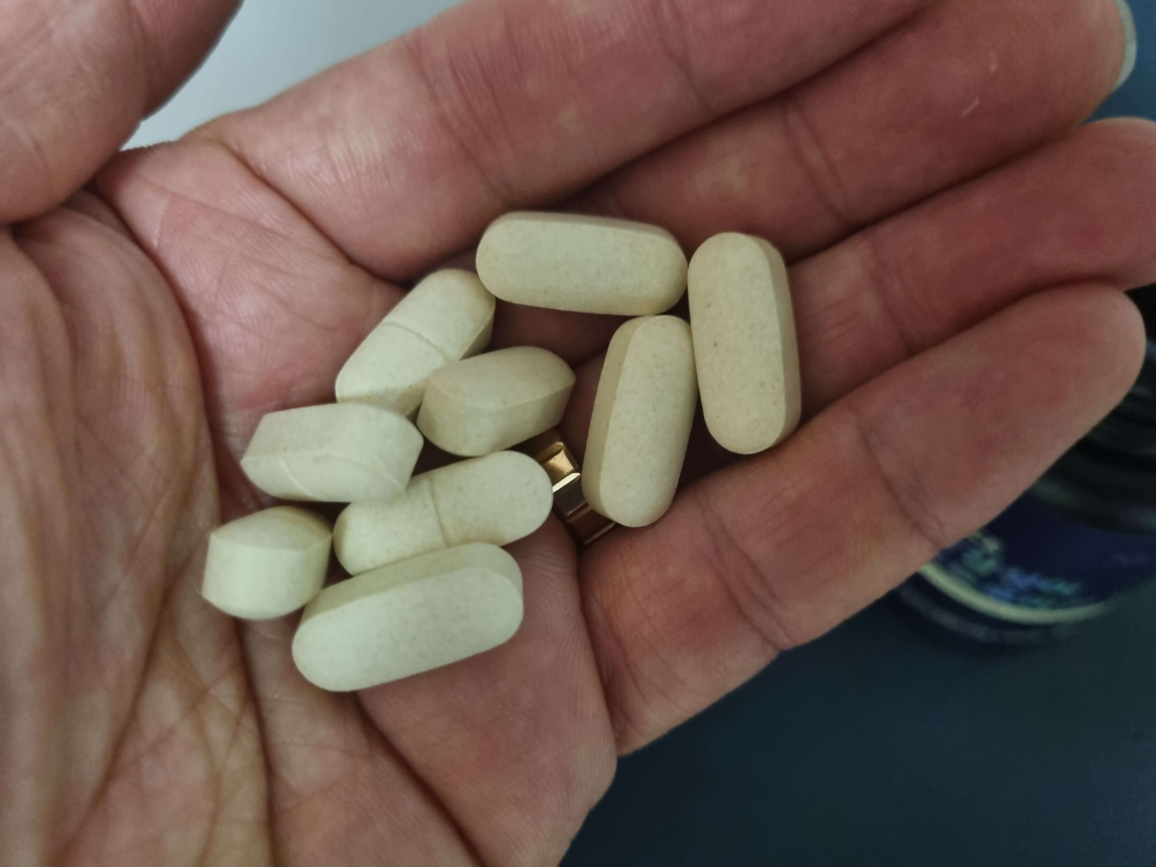 콘드로이친 추천