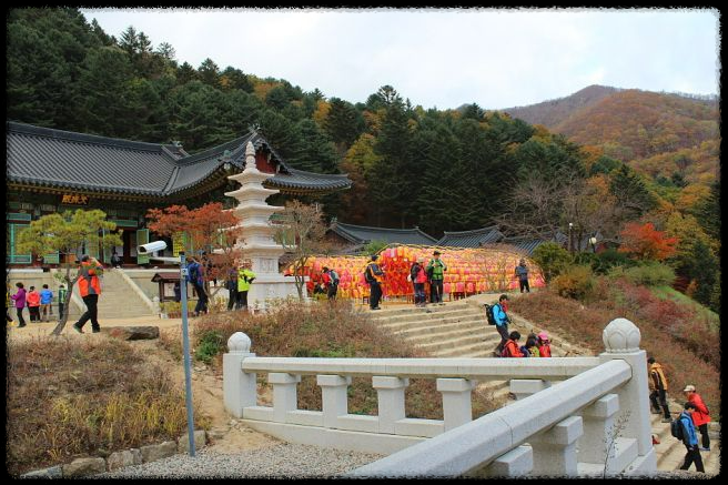 2024 가을&amp;#44; 국내 단풍 명소 추천: 절정 시기와 여행 팁까지 완벽 가이드