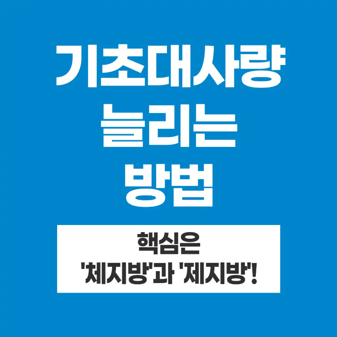 기초대사량 늘리는 방법