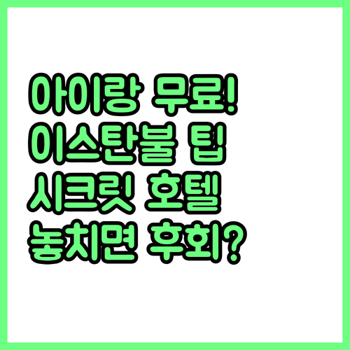 아이와 이스탄불 여행 시크릿 팁 0~..