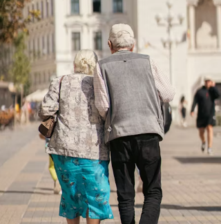 단백질 많은 음식 식물성 동물성