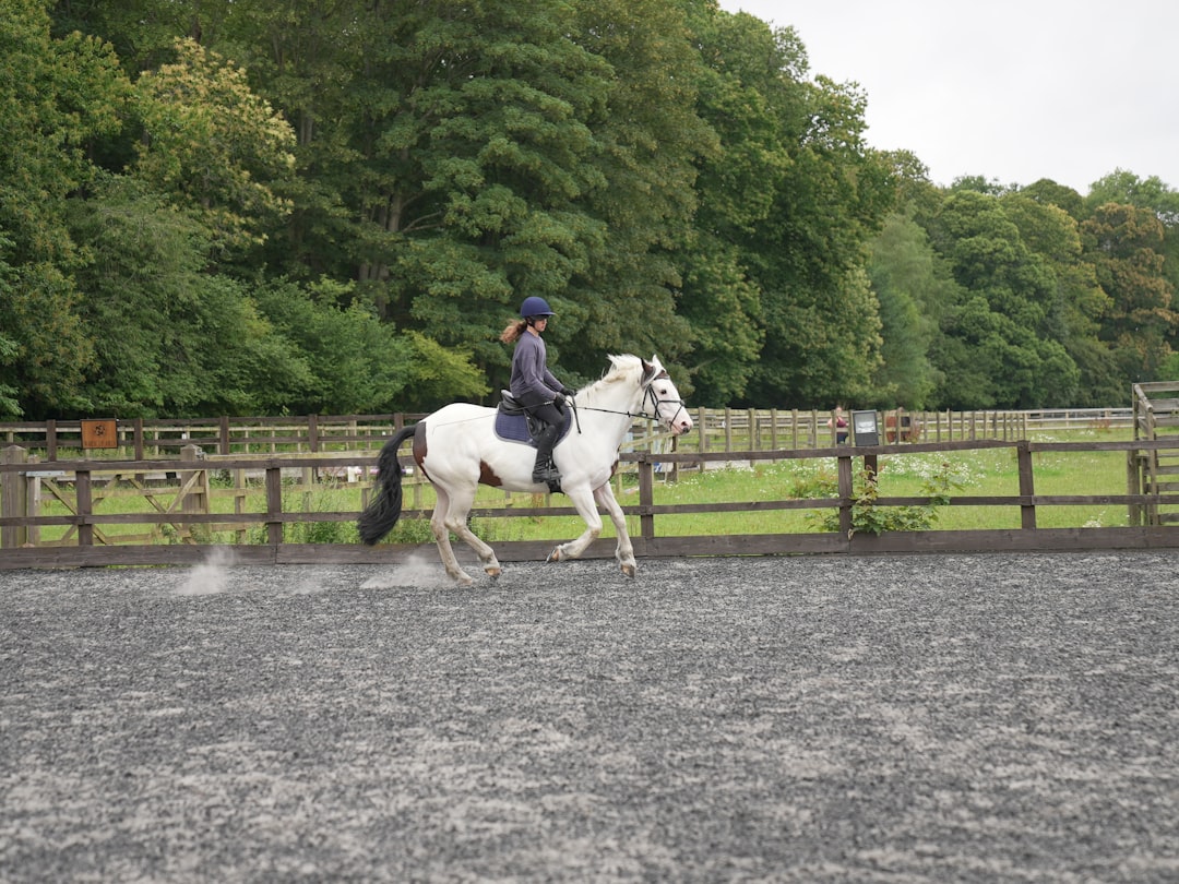 Trot