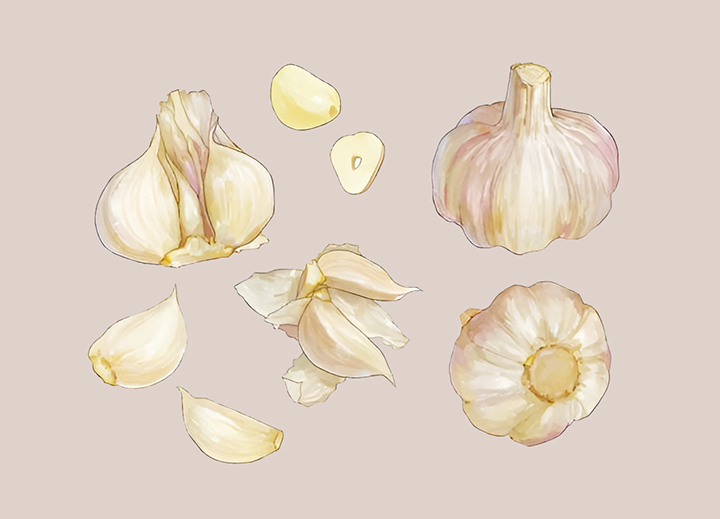 마늘의-다양한-모습