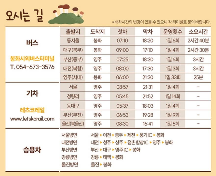 2025 봉화송이축제 완벽 가이드