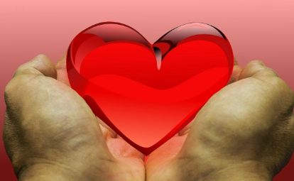 하트-심장-모형