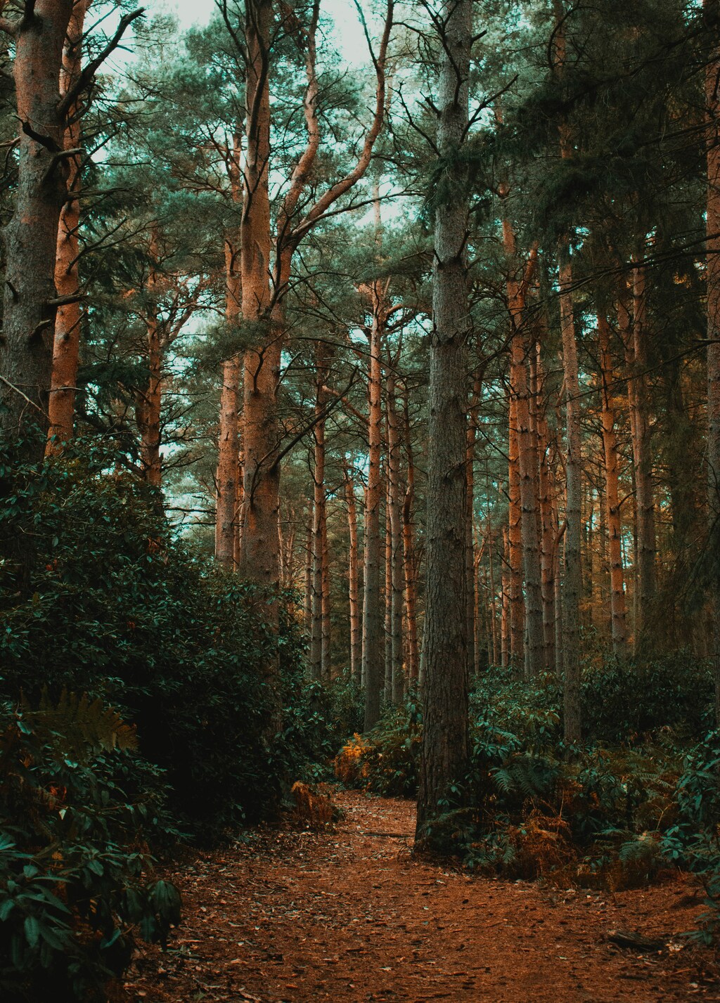 화담숲 예약방법! 실수 없이 완벽하게 예약하는 법