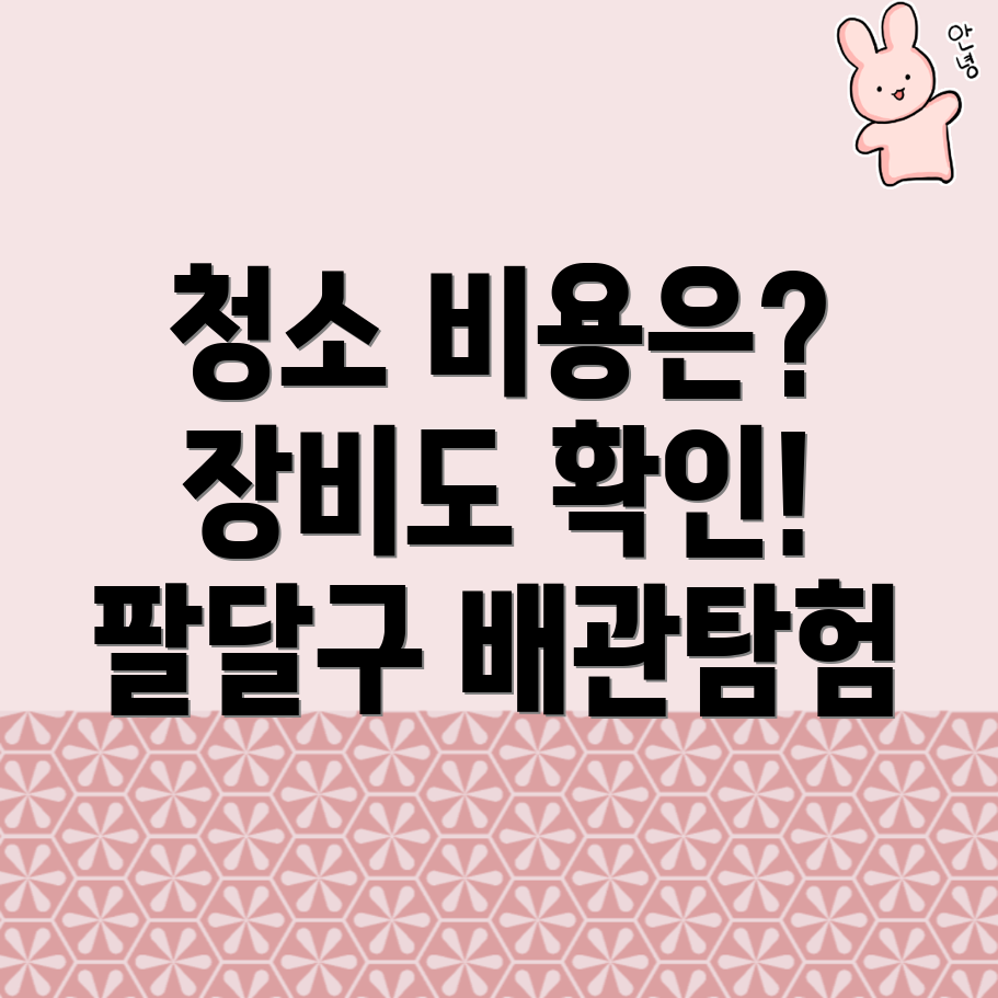 배관 청소 비용