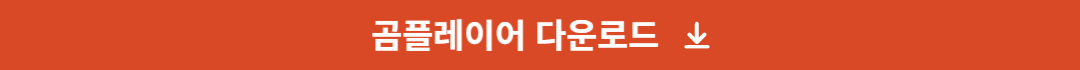 곰플레이어 다운로드