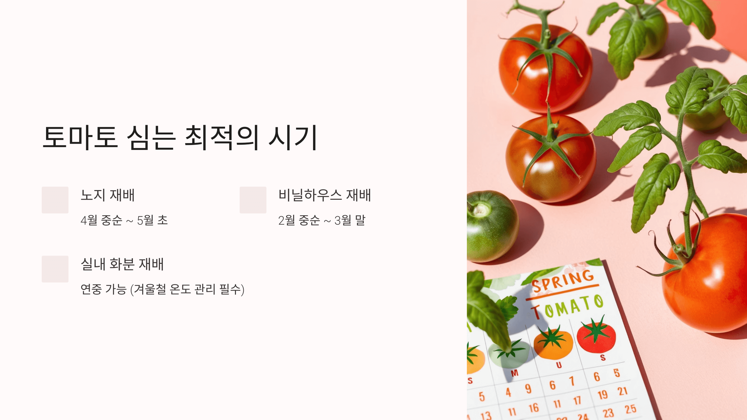 토마토 사진입니다.