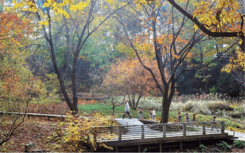 수원·용인 단풍 명소 BEST 5 : 광교호수공원·수원화성·용인민속촌·에버랜드·용인자연휴양림