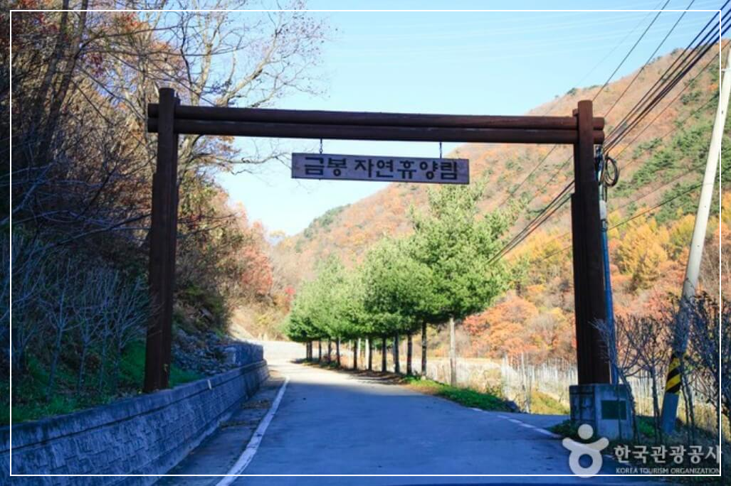 의성 가볼만한곳 베스트10 금봉자연휴양림