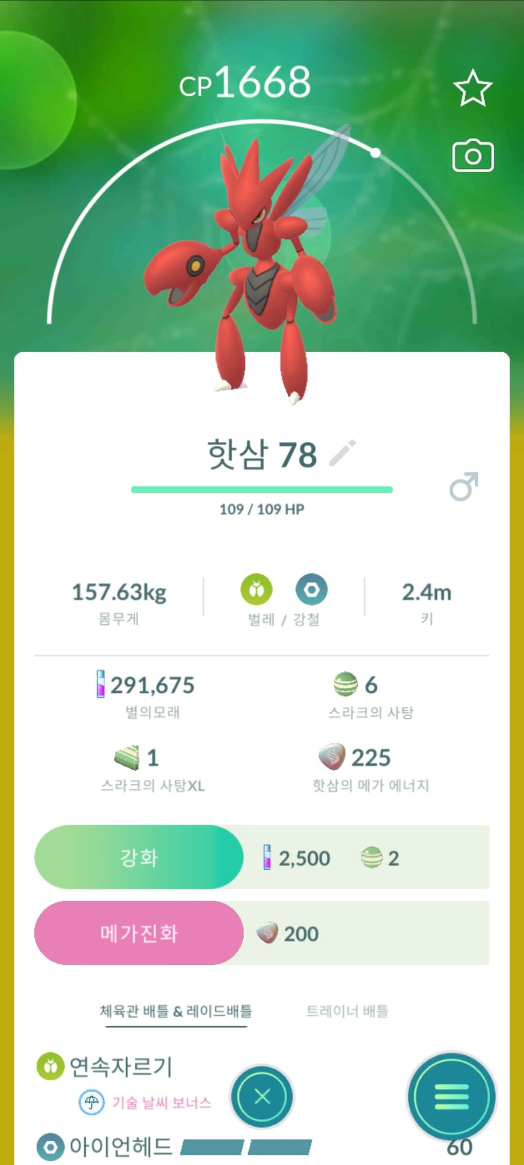핫삼
