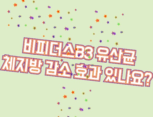 비피더스B3-효능