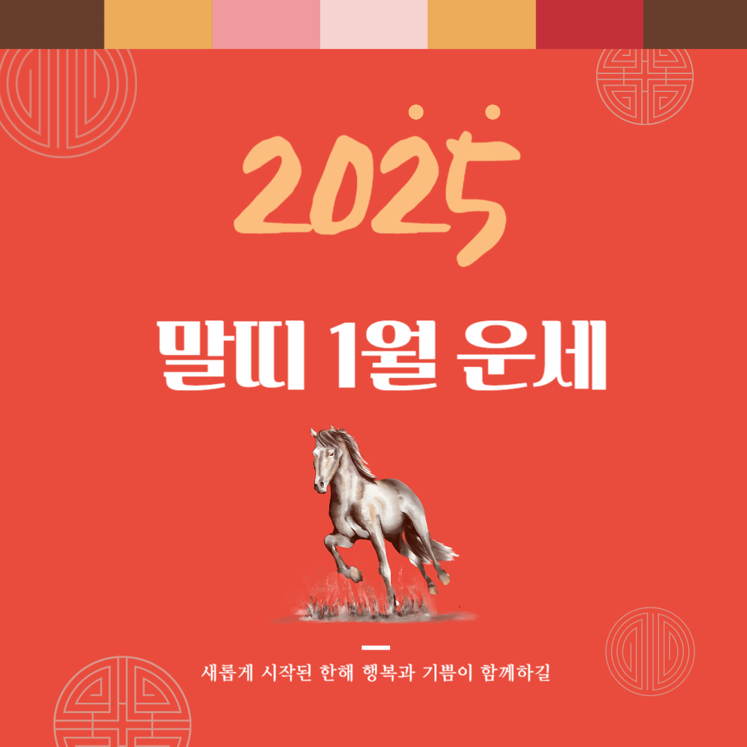 2025년 을사년 『말띠』 1월 운세