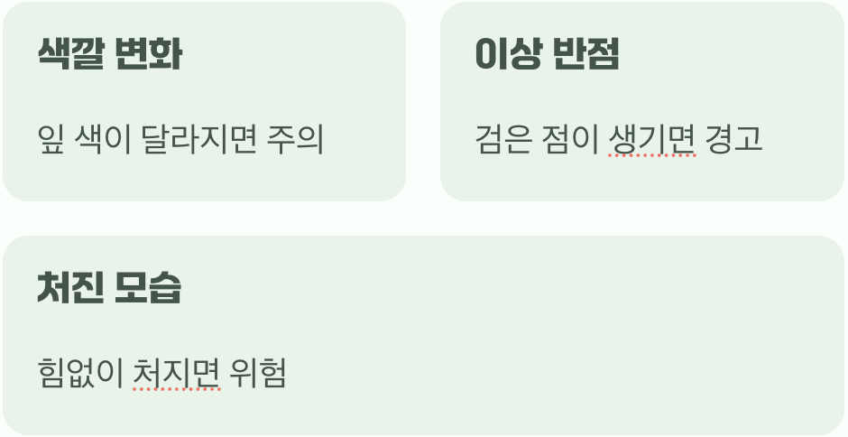 잎은 모란의 얼굴&amp;#44; 건강 신호등