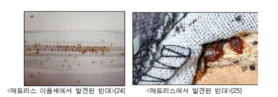 침대 주변 빈대의 흔적들