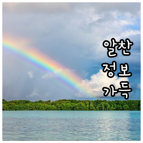 2025 안산사랑장학금 대부고생 필수..