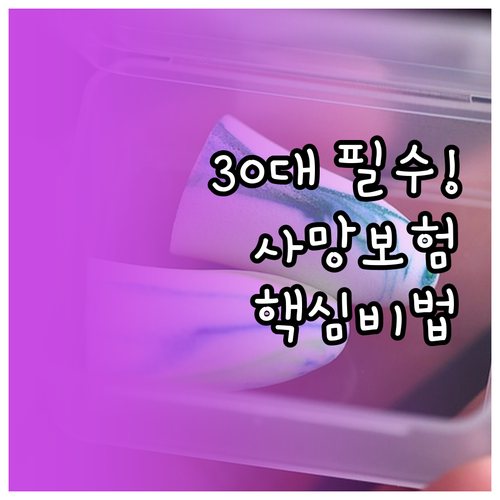 30대 사망보험 핵심 정리 정기보험 ..