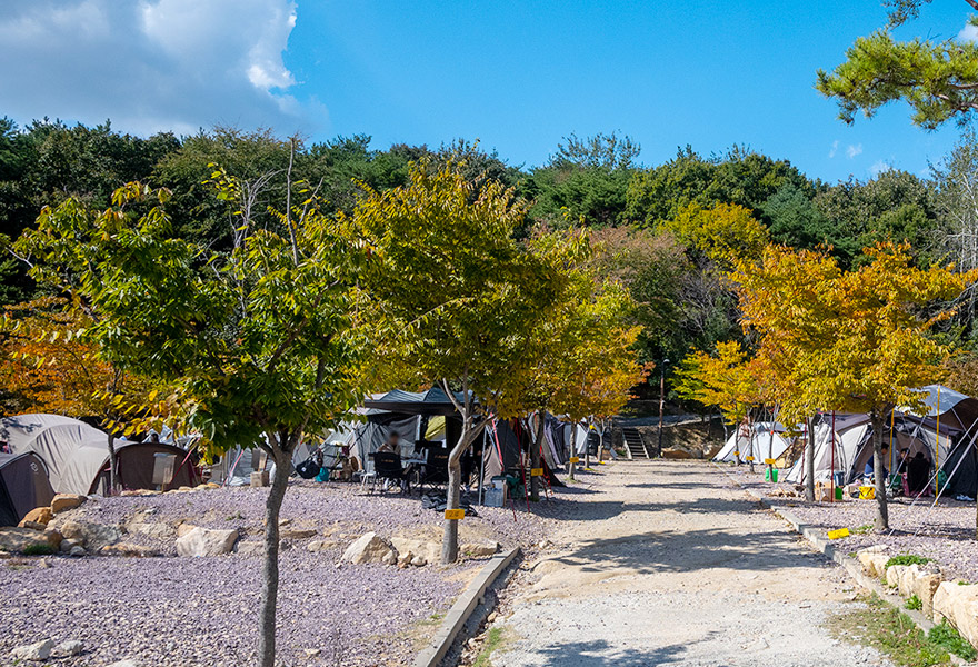 김해 가야랜드달빛야영장 소개