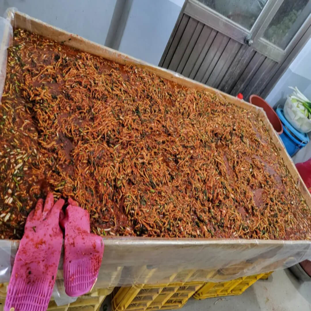 김장김치, 배추김치 양념 레시피, 맛있게 담그는 방법