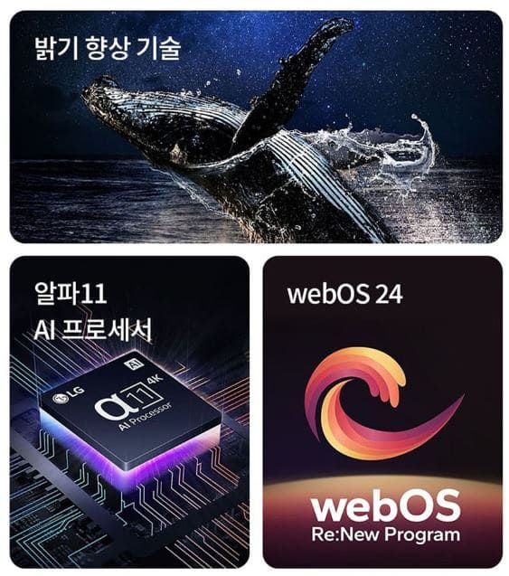 LG전자 4K UHD OLED evo TV(3)