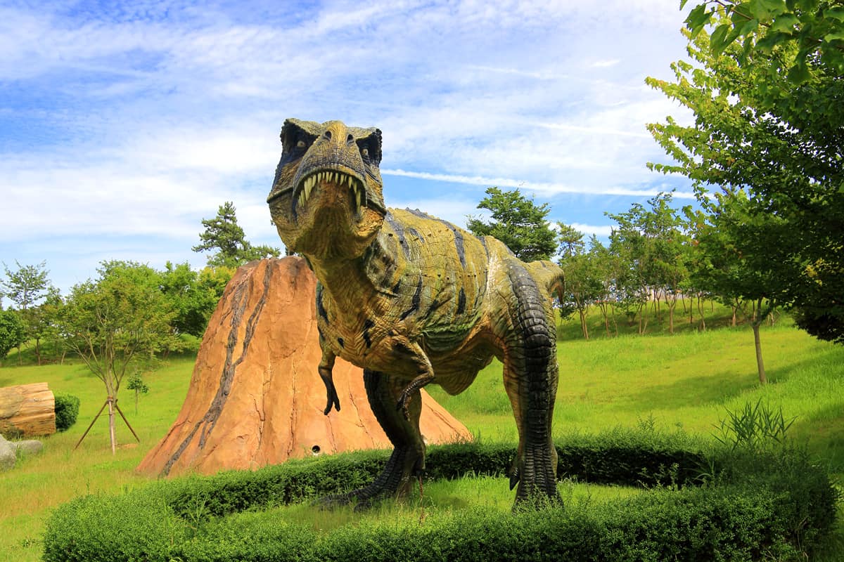  2024 해남 공룡대축제 특징