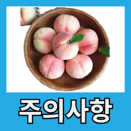 복숭아 주의사항