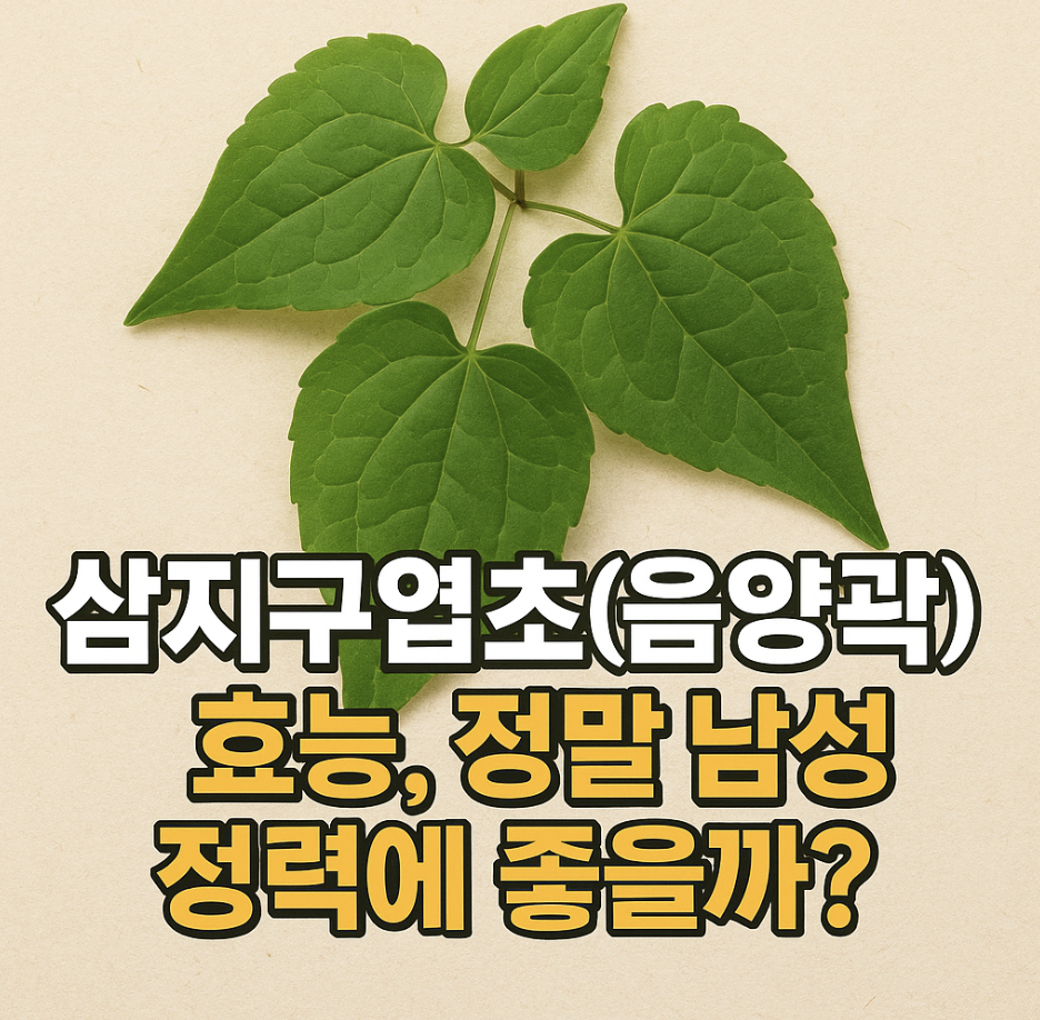 삼지구엽초(음양곽) 효능, 정말 남성 정력에 좋을까?