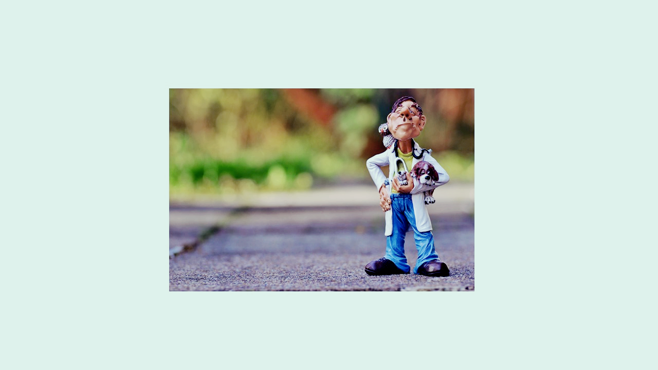 강아지를 안고 청진기를 들고 서 있는 의사 인형