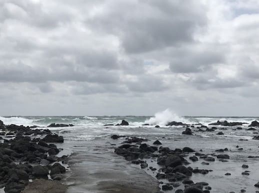 2024년 장마 예상기간