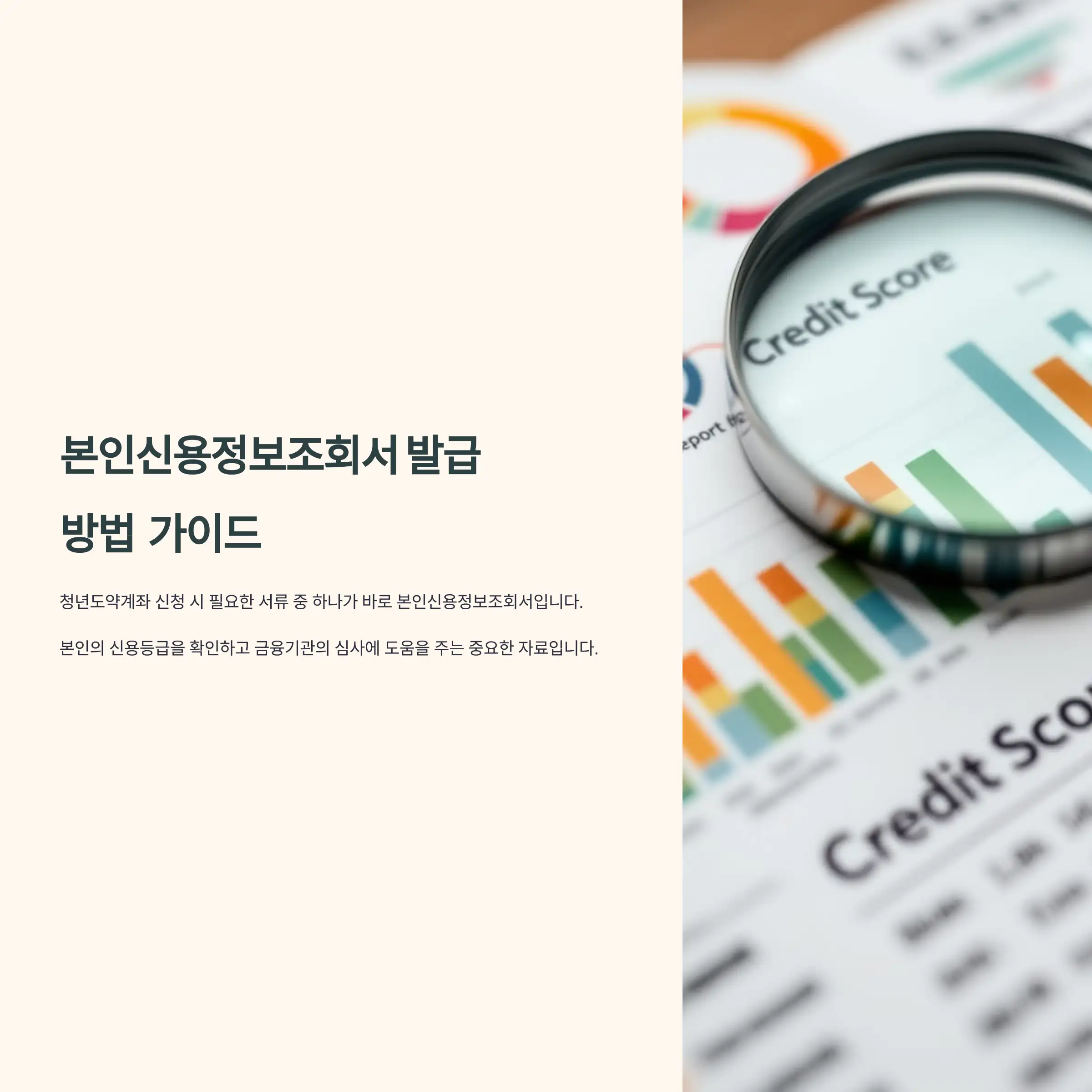 본인신용정보조회서 발급 방법 및 주의사항 가이드